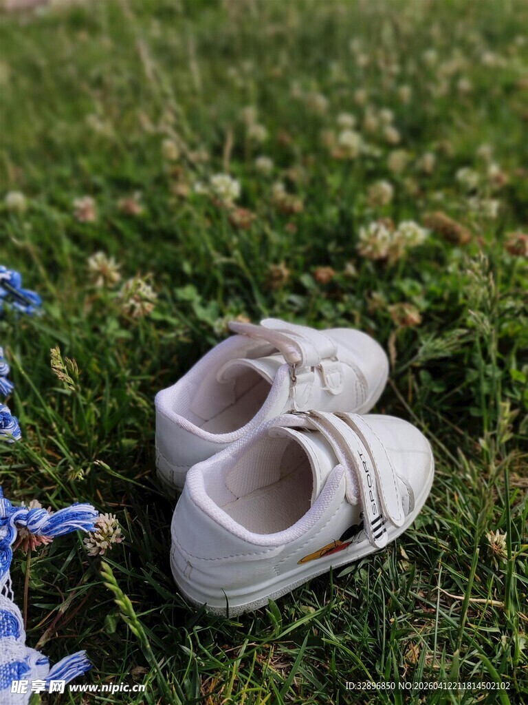 草地上的小童鞋