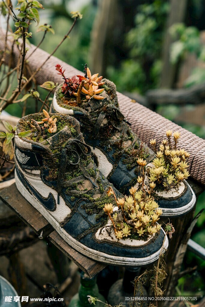 旧球鞋变身创意绿植盆栽