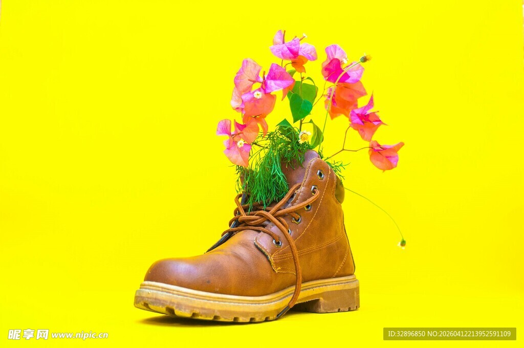 靴中绽花的独特创意景象