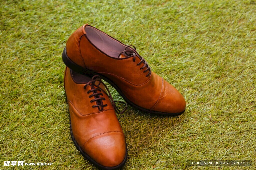 棕色皮鞋置于翠绿草地