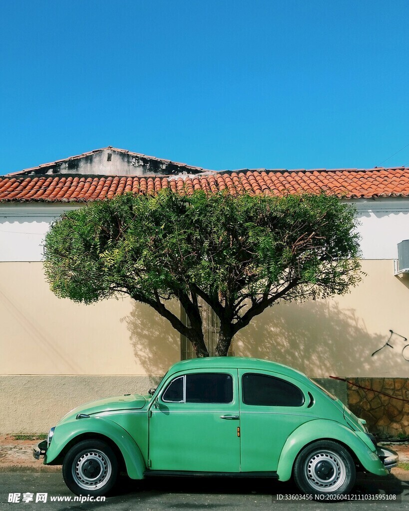 复古绿甲壳虫与绿荫相伴