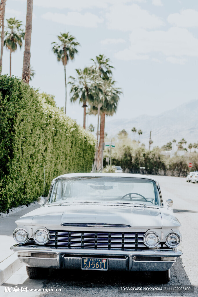 复古轿车停于棕榈树旁