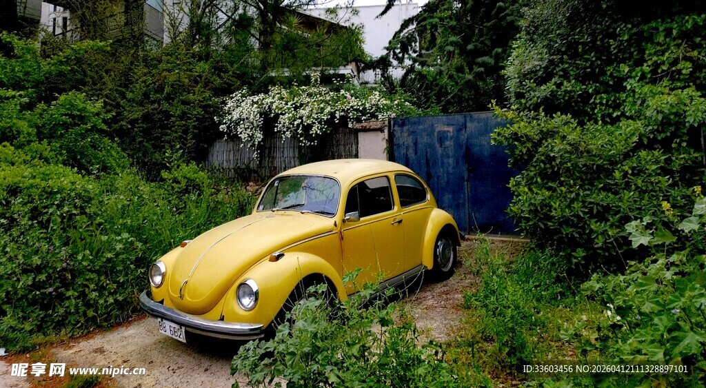 丛林中的复古黄色甲壳虫车