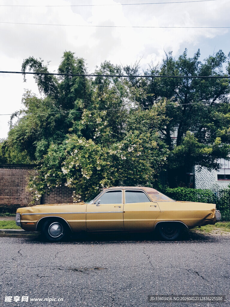 复古黄车停于绿植旁