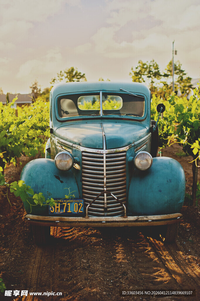 复古蓝车停于葡萄园中