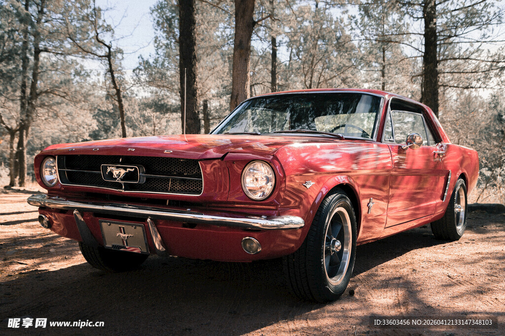 复古红色野马停于林间