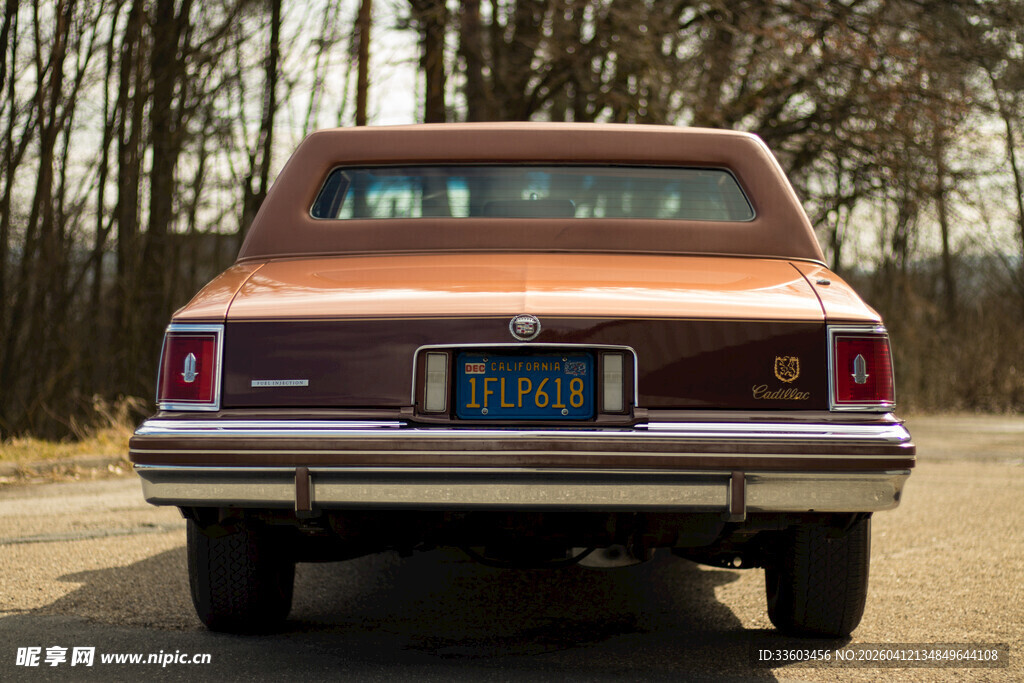 复古轿车尾部特写