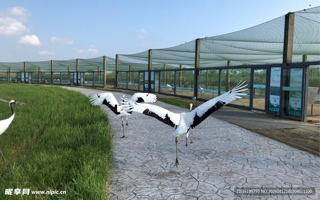 户外展翅雕塑景观