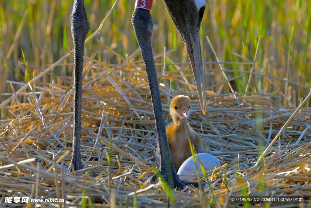 野外钓鱼装备特写
