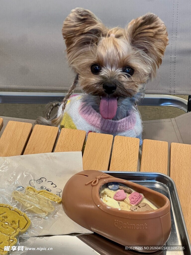 可爱小狗与美味热狗