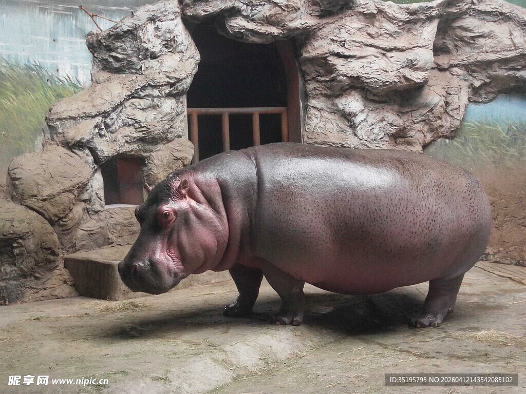 站立的河马雕塑