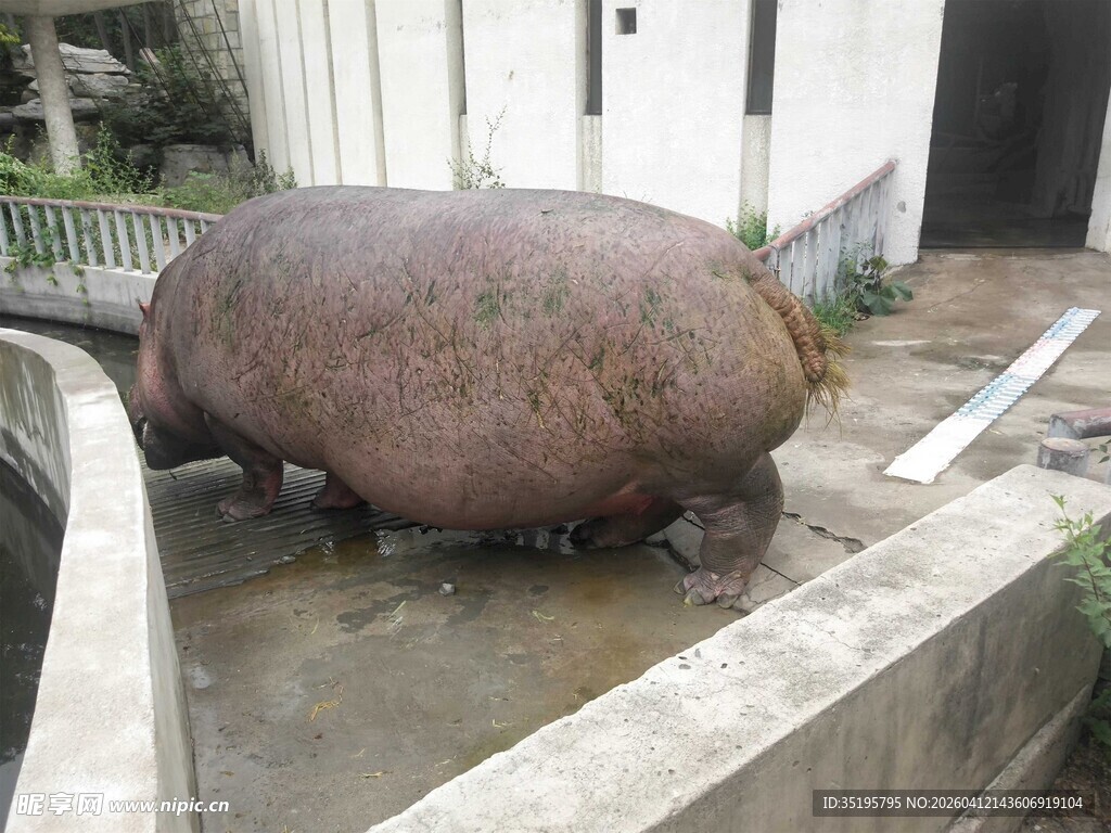 巨大奇特物体置于户外角落