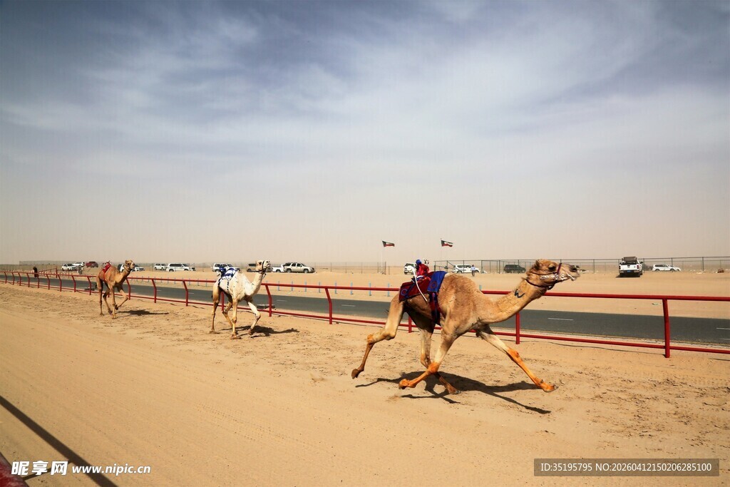沙漠中骑行的骆驼队伍