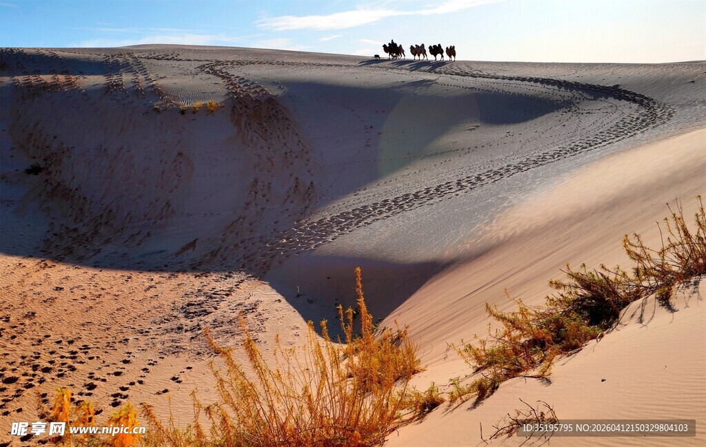 沙漠公路上的车辆行驶景象