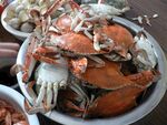 满满一盆美味大螃蟹