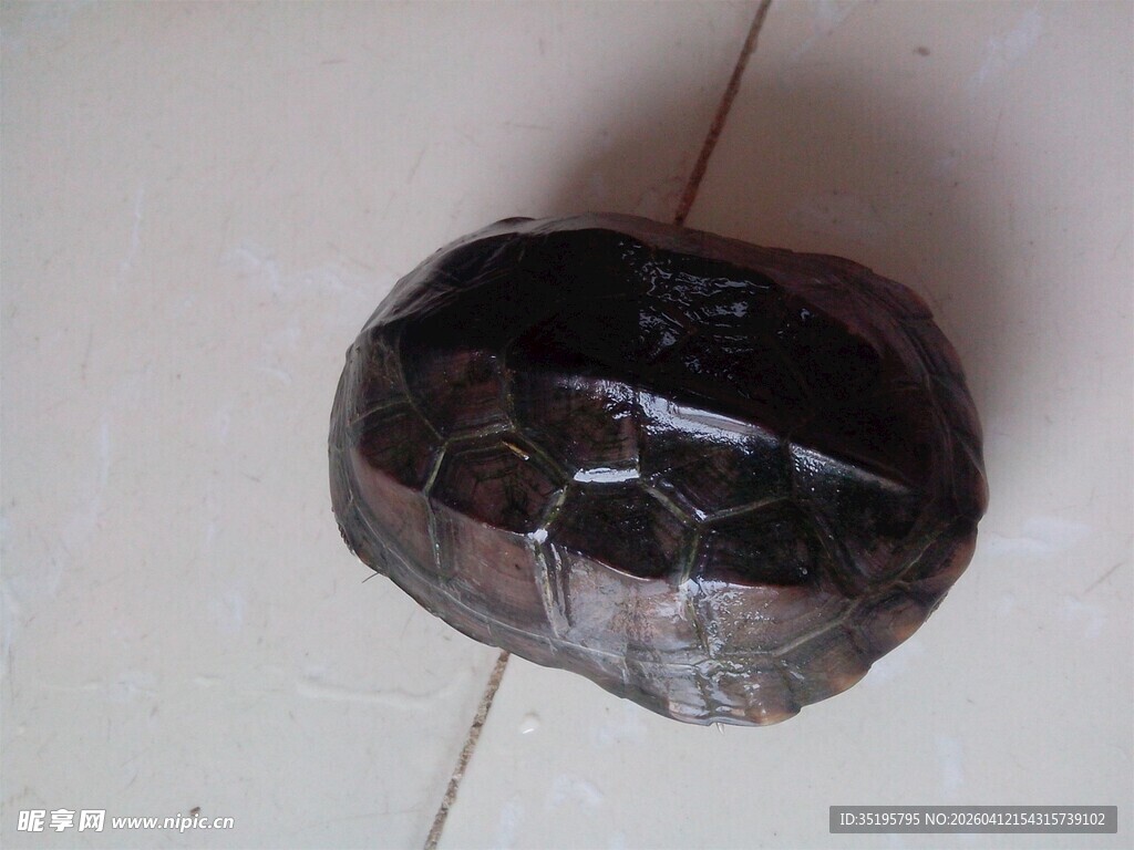 黑色多面切割石头