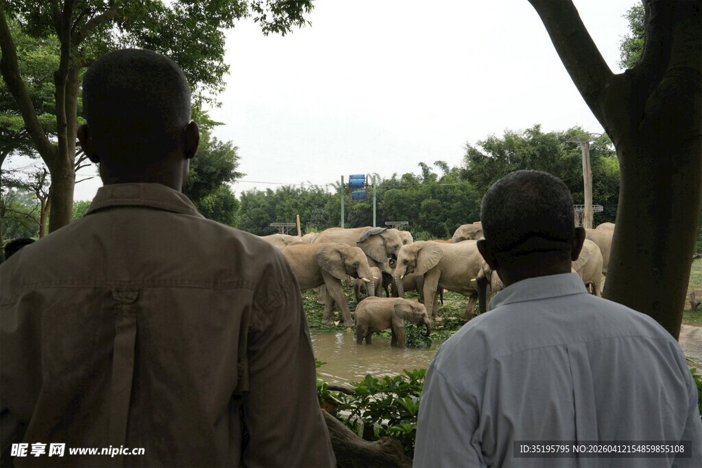 两人观察远处羊群