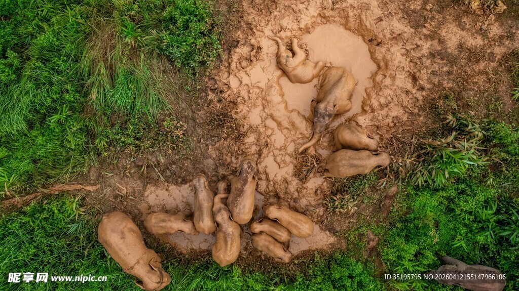 泥地里嬉戏的孩童
