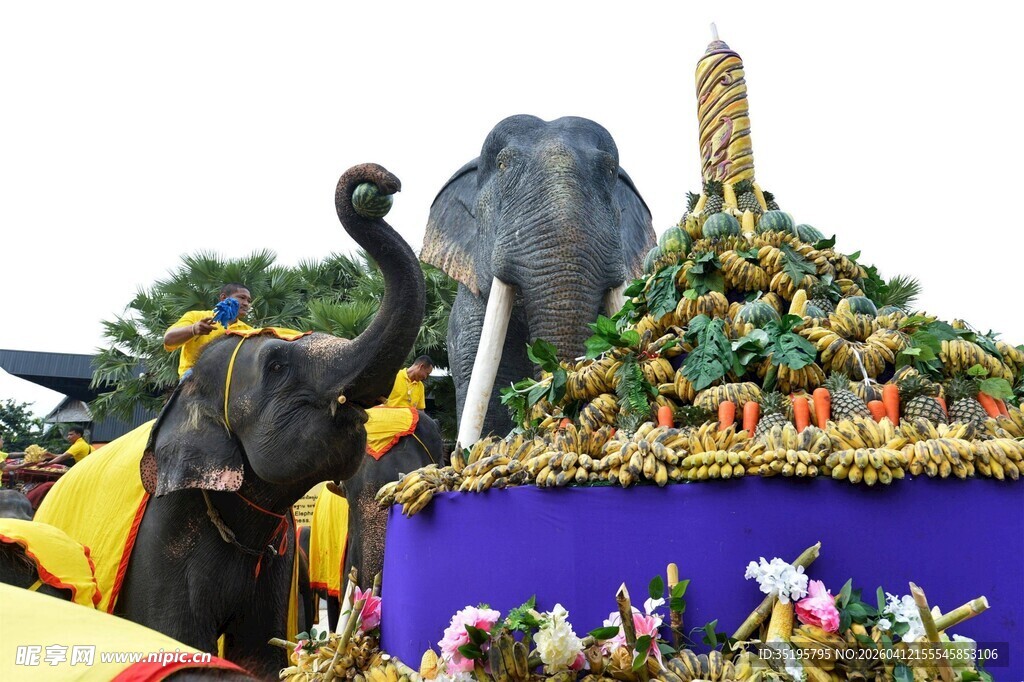 大象装饰的华丽花车