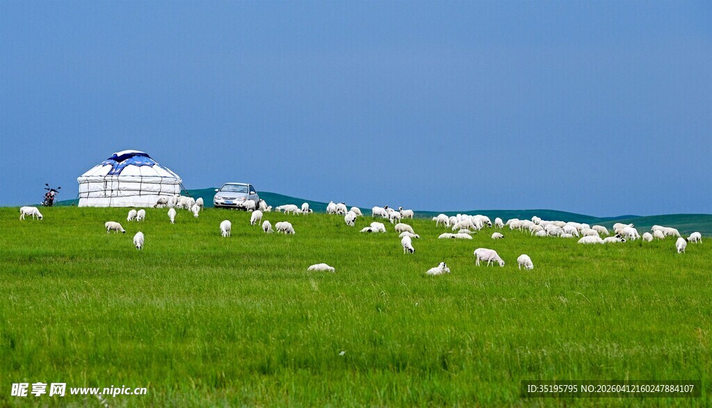 草原上的羊群与白色建筑