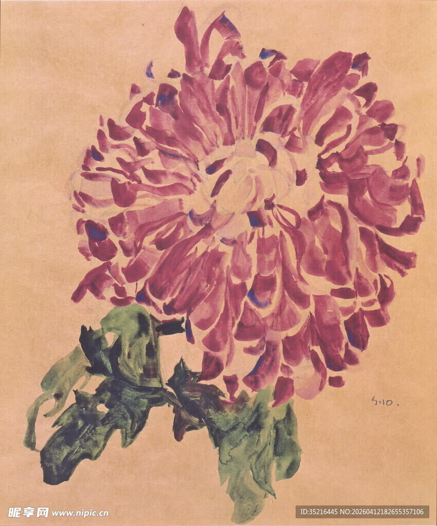 复古风手绘绽放紫菊花