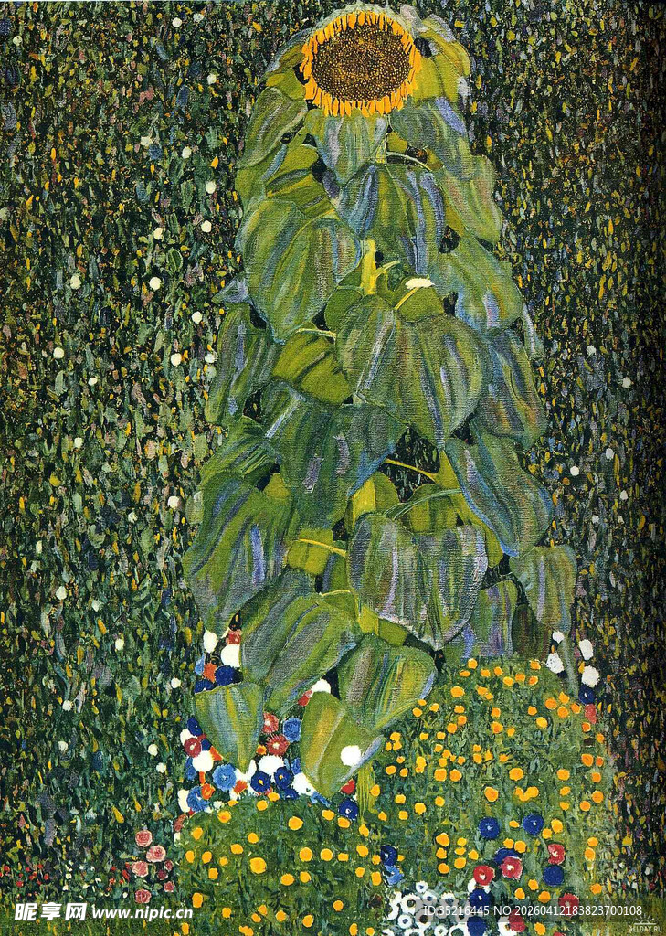 花园中的高大向日葵