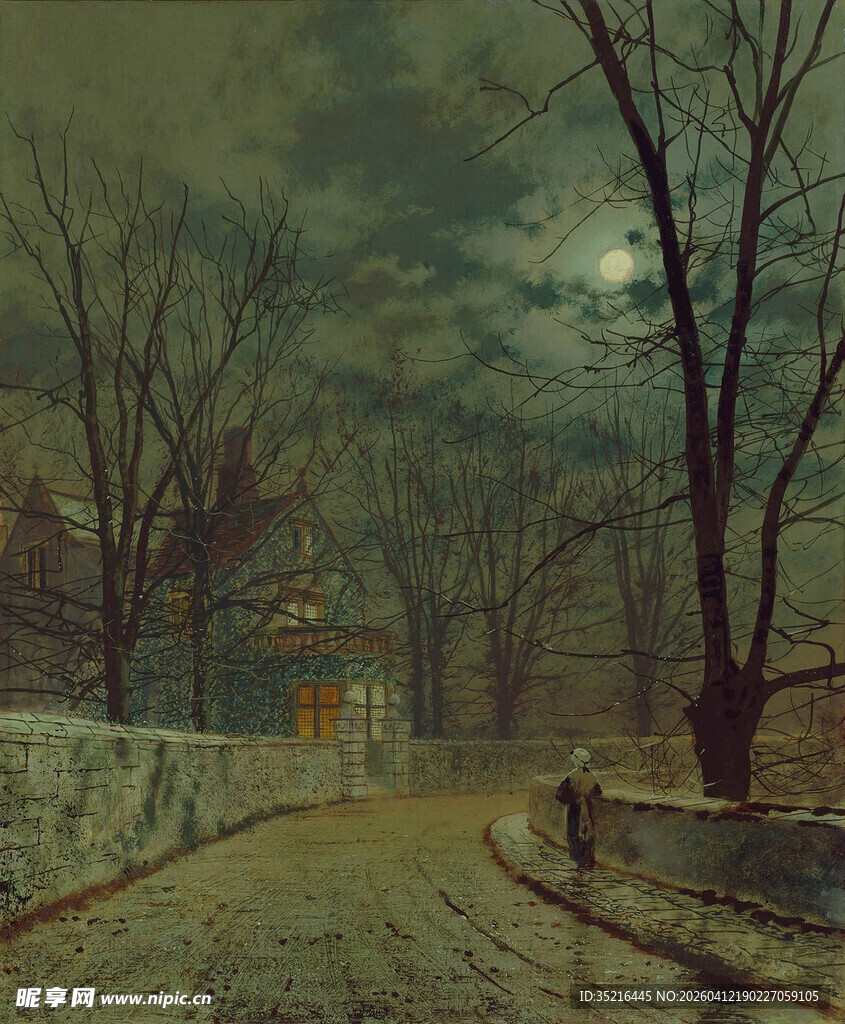 月夜下的静谧林间小道