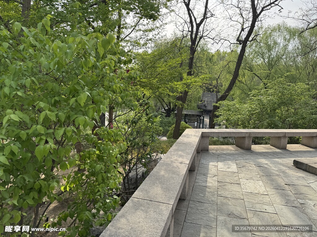 户外绿树环绕的石砌平台