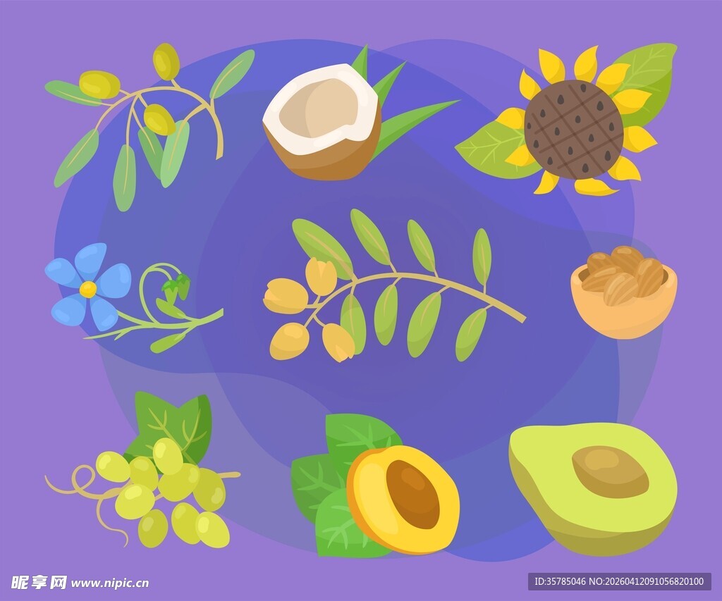 果蔬插画素材