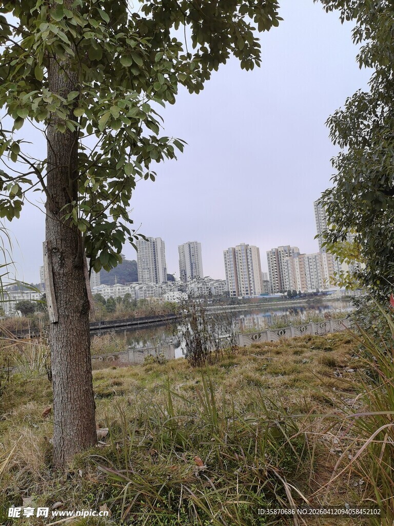 城郊自然景致与远处建筑