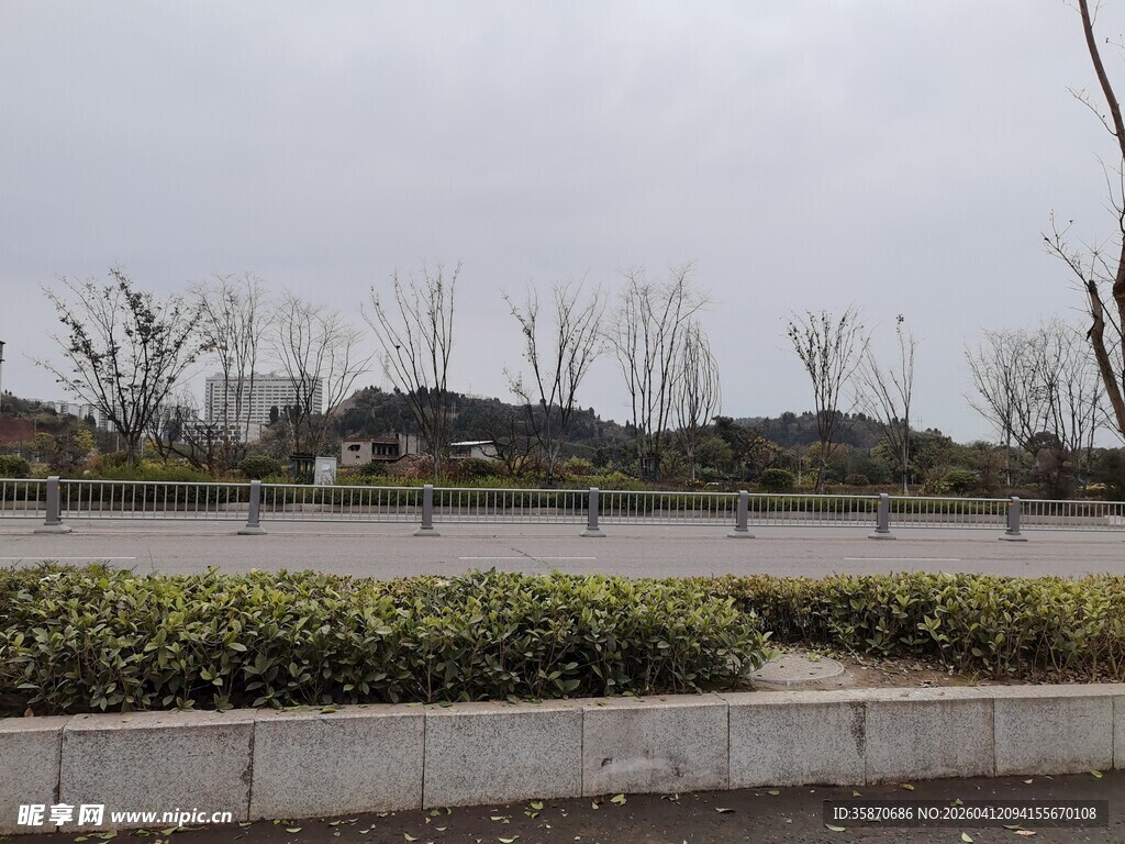城市户外景观绿化带