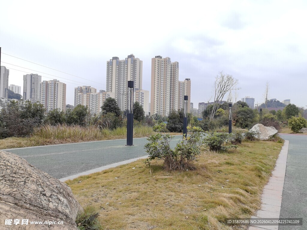 城市中的静谧绿化道路