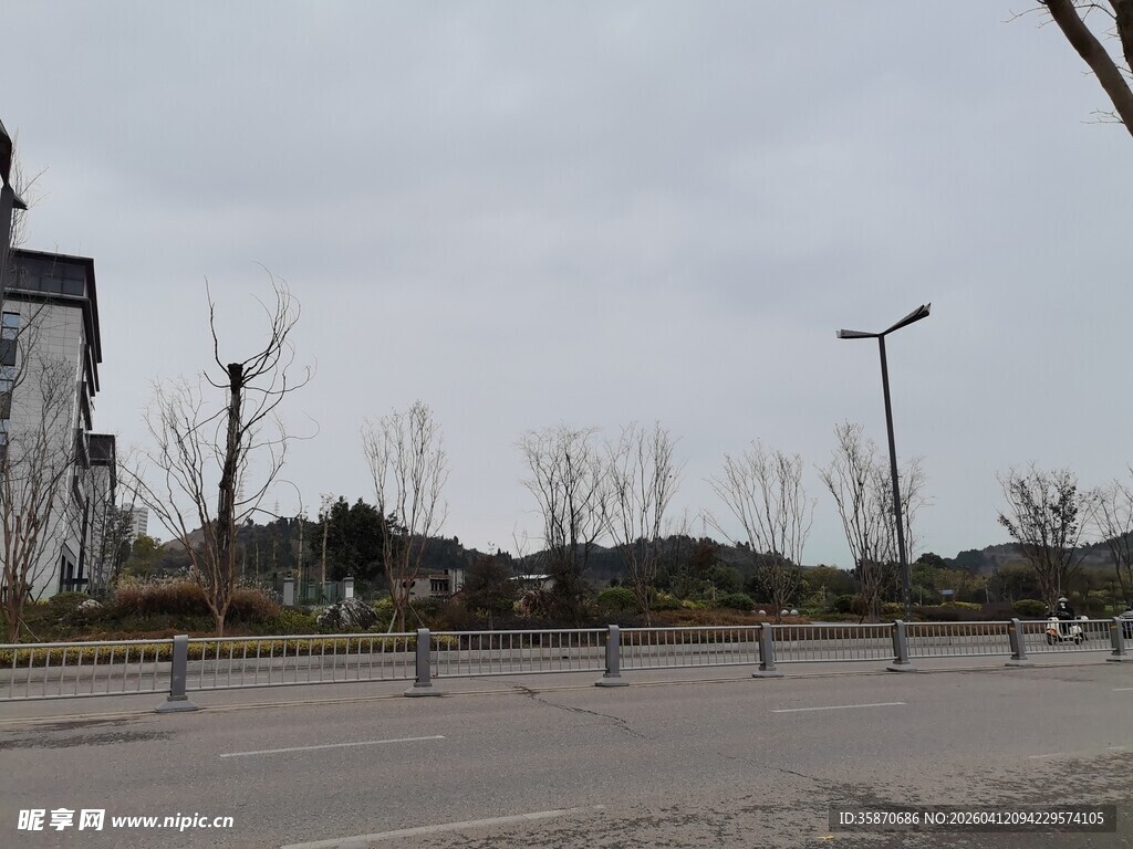 空旷街道与路灯景观