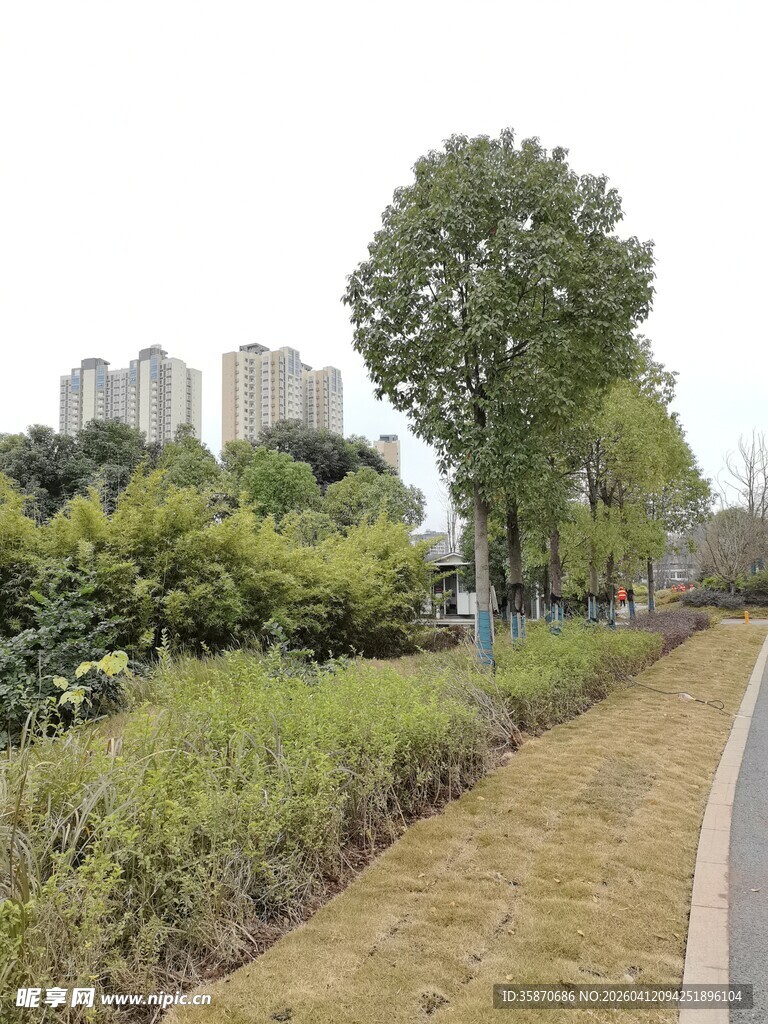 城市中的绿意小径