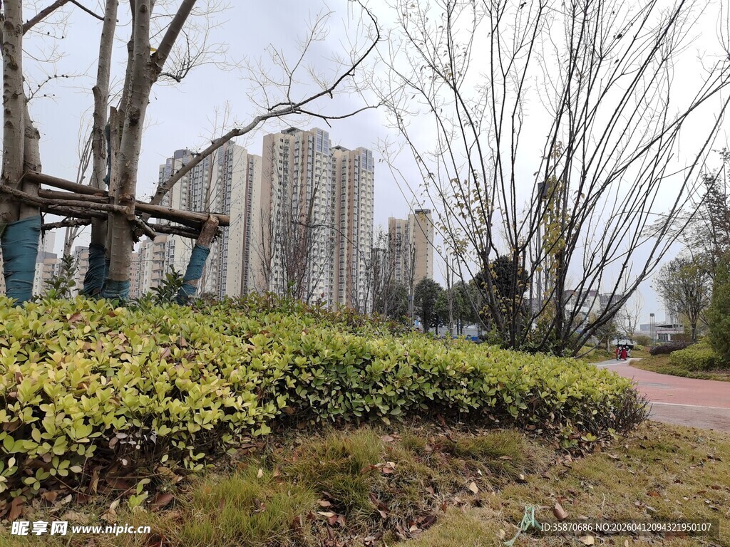 城市公园绿植与建筑景观