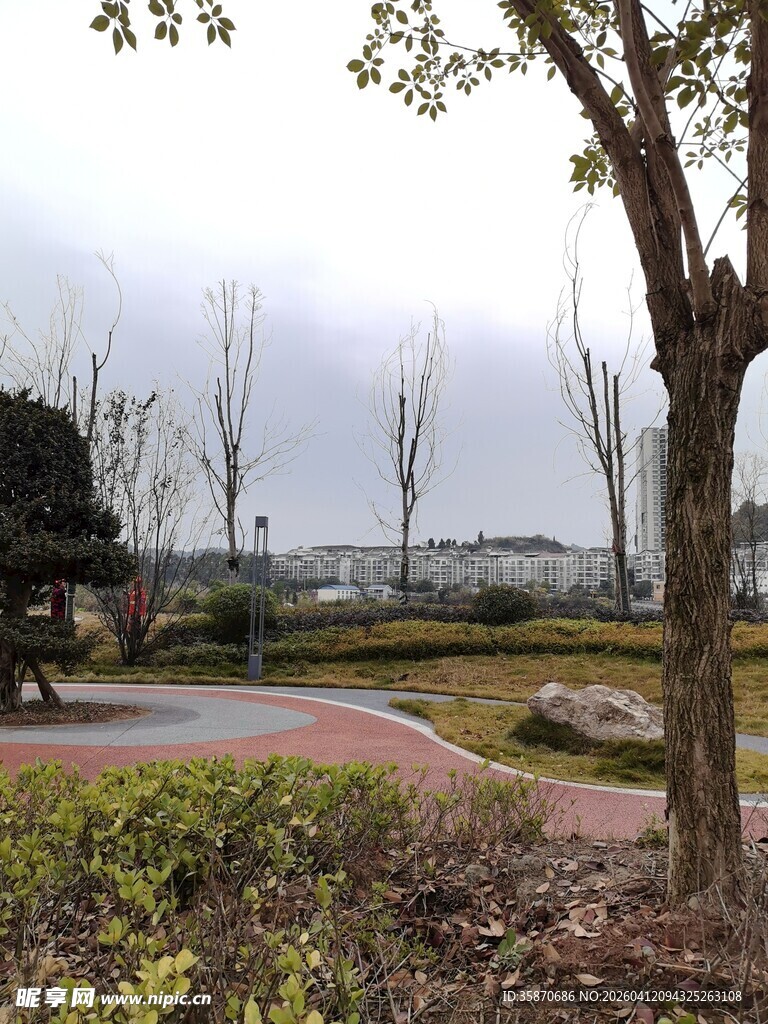 公园景致静谧自然风光