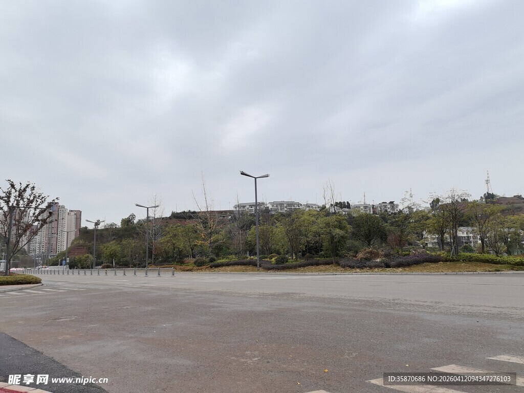 空旷道路旁的绿植景观