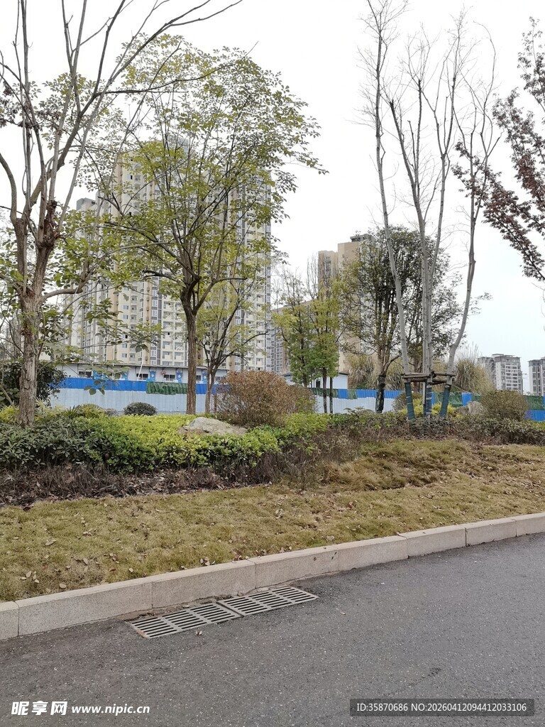 城市路边绿化景观