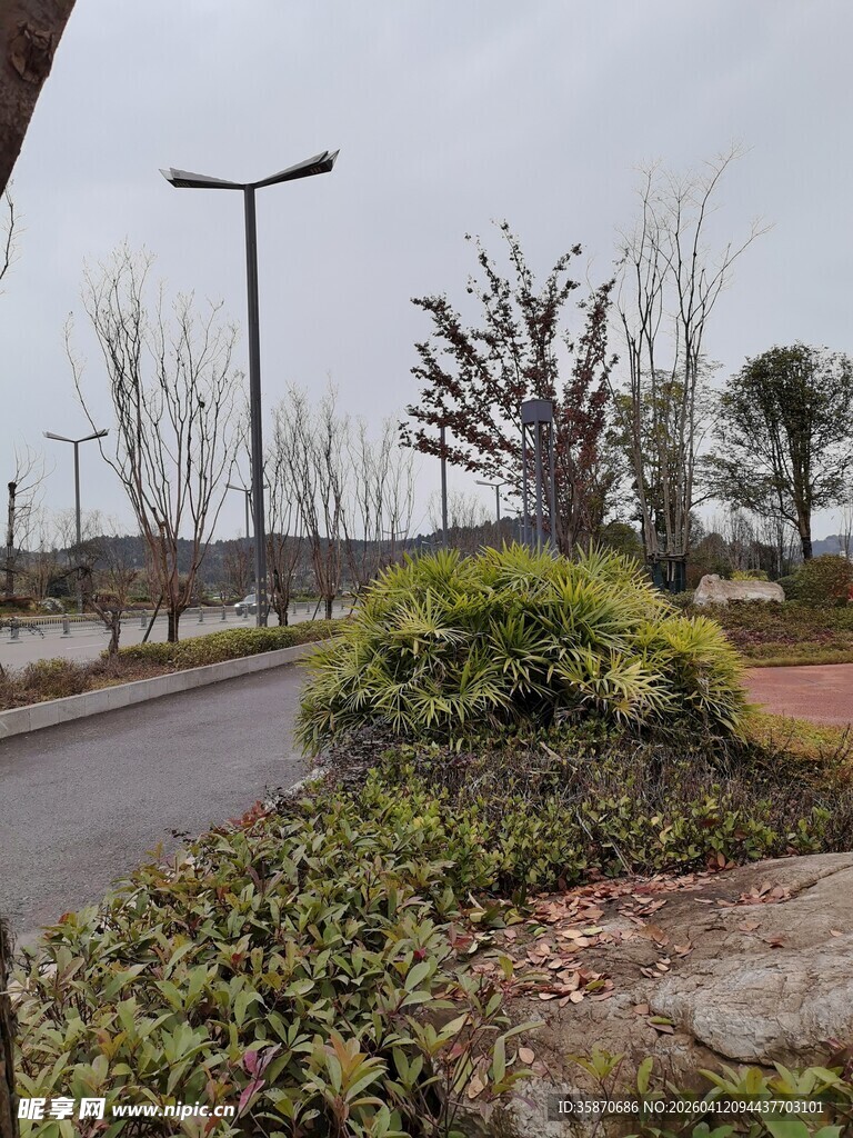 城市路边的绿植与路灯景观