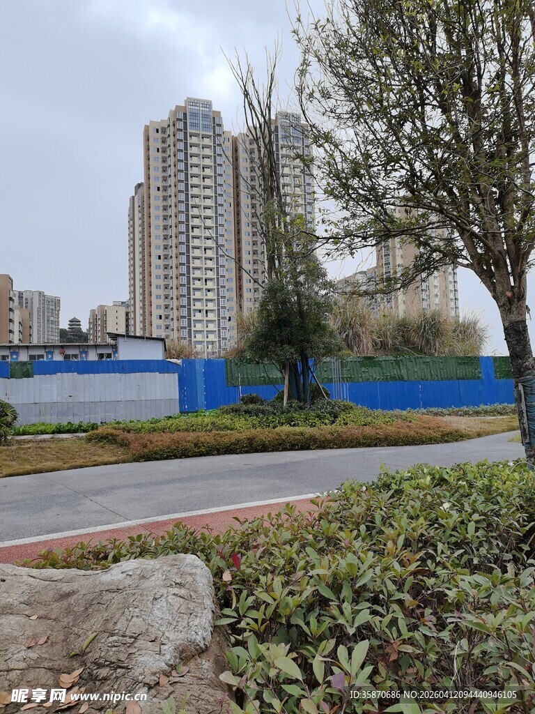 城市路边景观与高楼