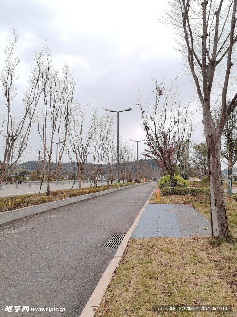 冬日空旷道路景观