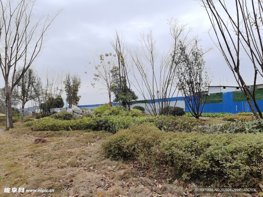 户外绿植景观