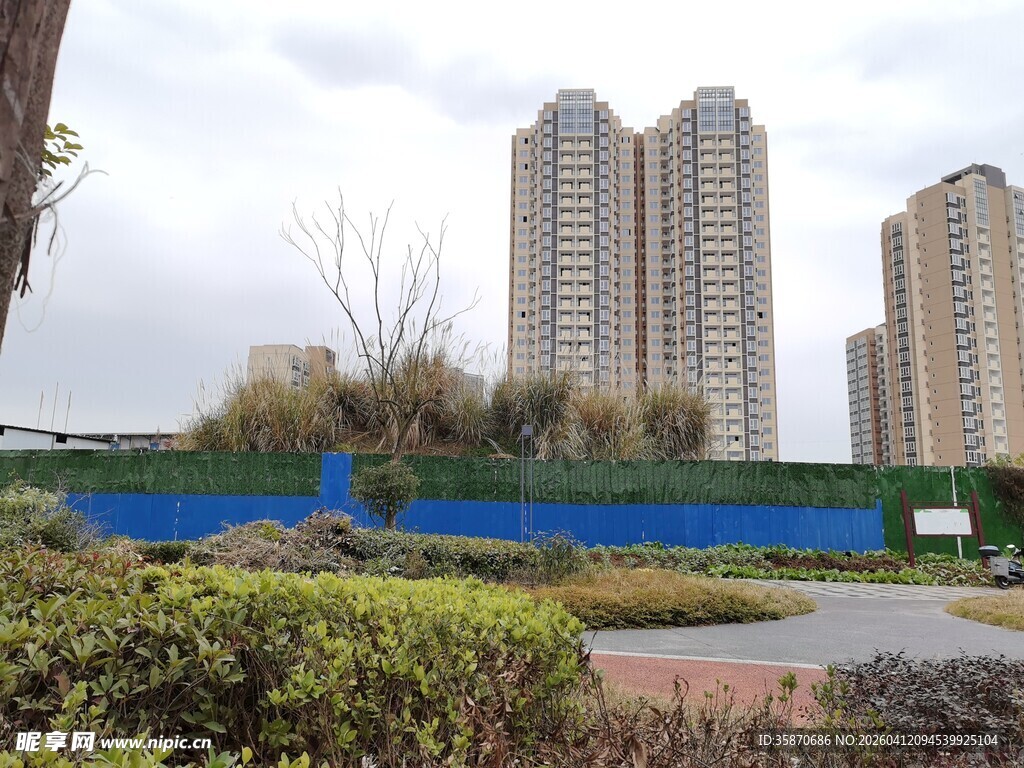 城市中的高楼与绿植景观