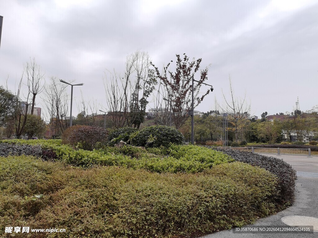 城市中的静谧绿植小径