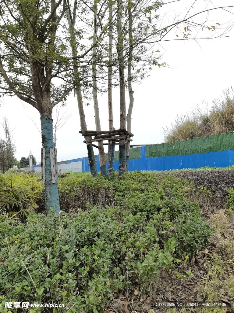 户外园林景观中的休憩设施