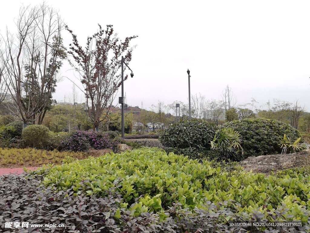 户外绿植景观