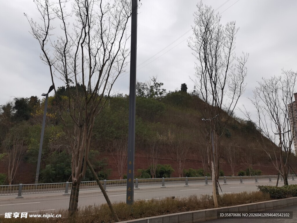 郊外光秃山坡与道路景观