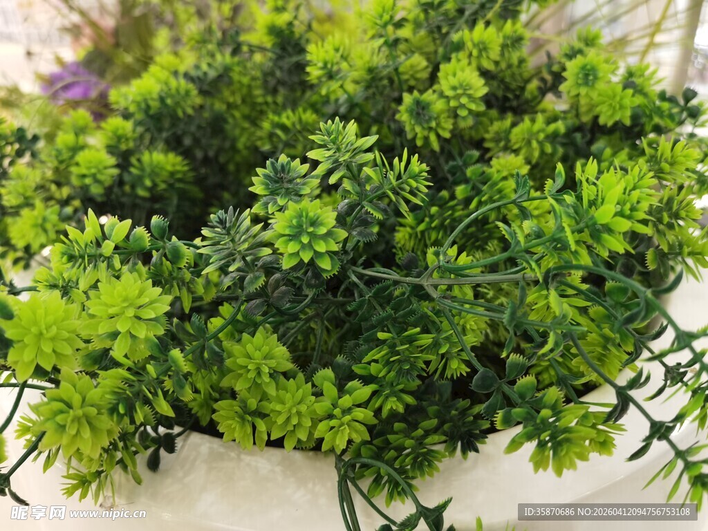 翠绿清新的仿真盆栽植物