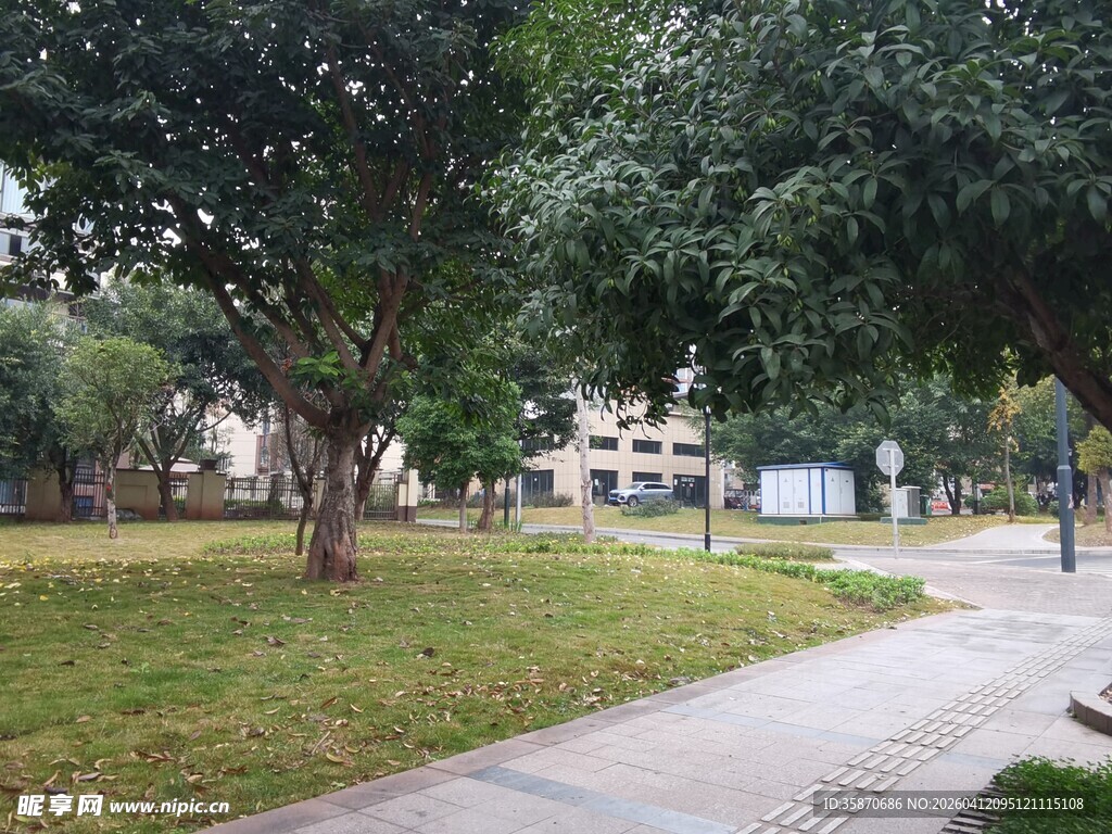 公园中的林荫小径