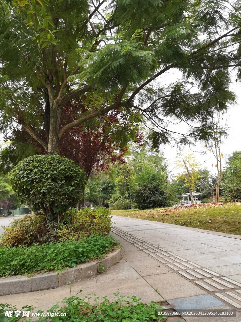 城市公园中的宁静小径